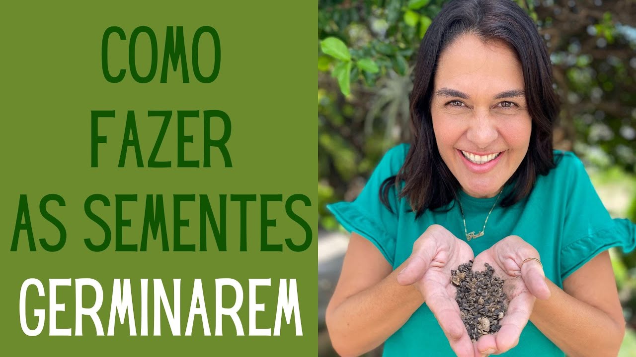 JARDINAGEM: SEMENTES: Técnicas para germinar rápido