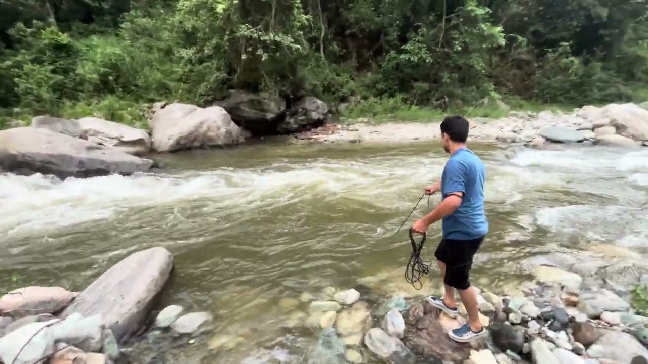 Himalayan trout fish in CastNet Fishing 🎣