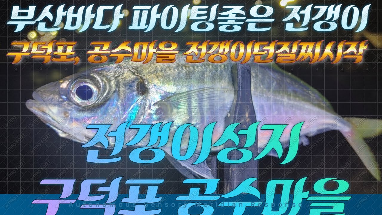 부산 낚시 포인트 구덕포 공수마을 전갱이루어 던질찌 시즌이 시작되었습니다.