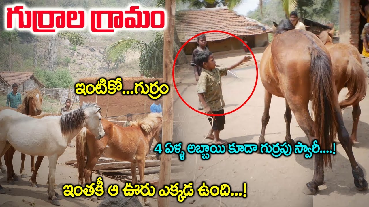 ఈ ఊరులో ఇంటికో గుర్రం ఎందుకో తెలుసా? | Gurrala Gramam Dayathi Village Real Story | Telugu World