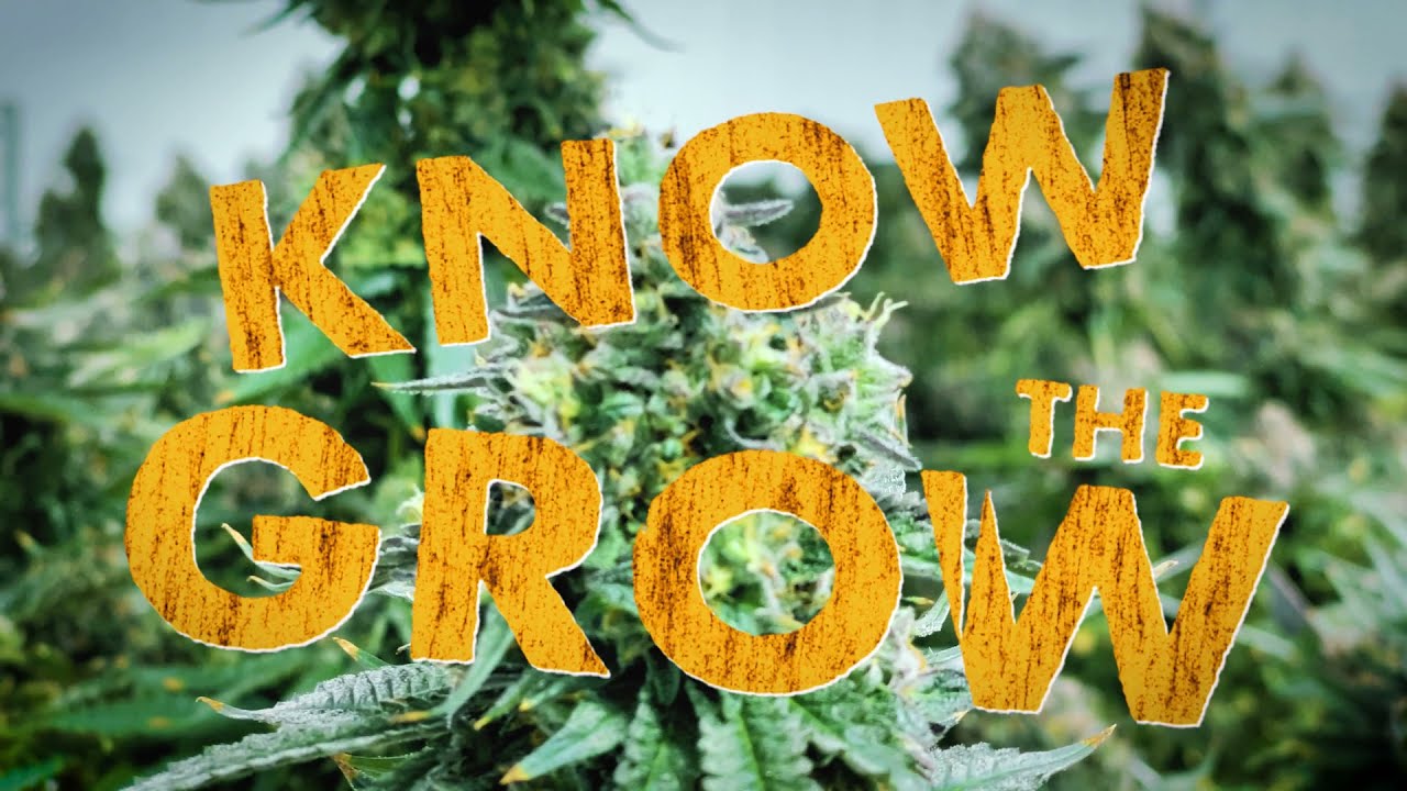 Know the Grow: Wedding Crasher