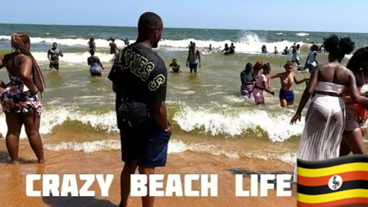 Wild beach  life in Entebbe Uganda. A walk tour through Entebbe beautiful beaches in 2025.