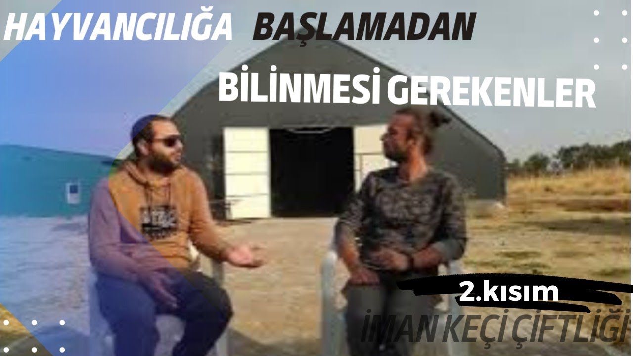 Saanen Keçileri Hakkında Herşey @semihiman