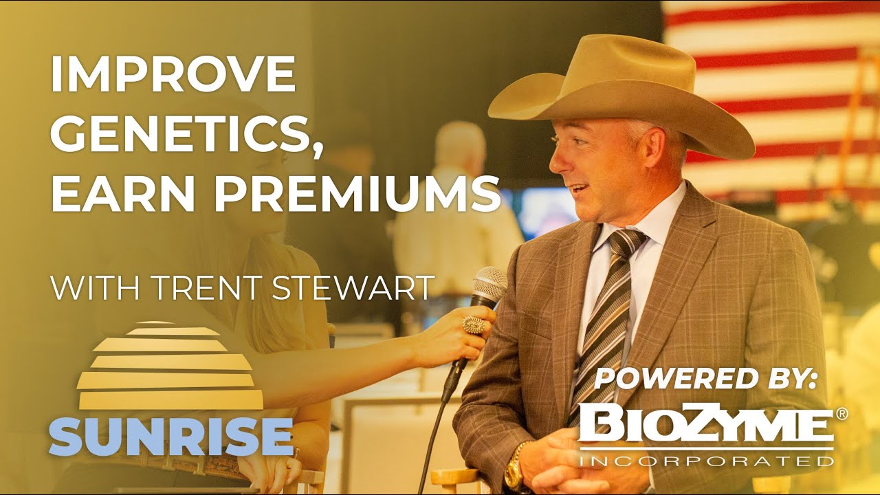 Improve Genetics, Earn Premiums | Superior Sunrise