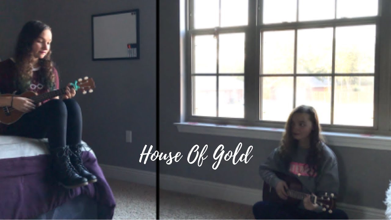 House Of Gold | Twenty One Pilots (cover)