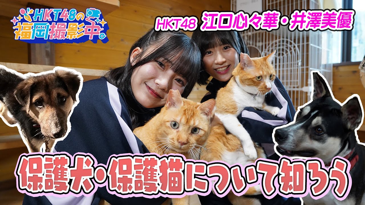 HKT48が福岡県動物愛護センターへ！保護犬・保護猫と触れ合ってきました【HKT48の福岡撮影中。】