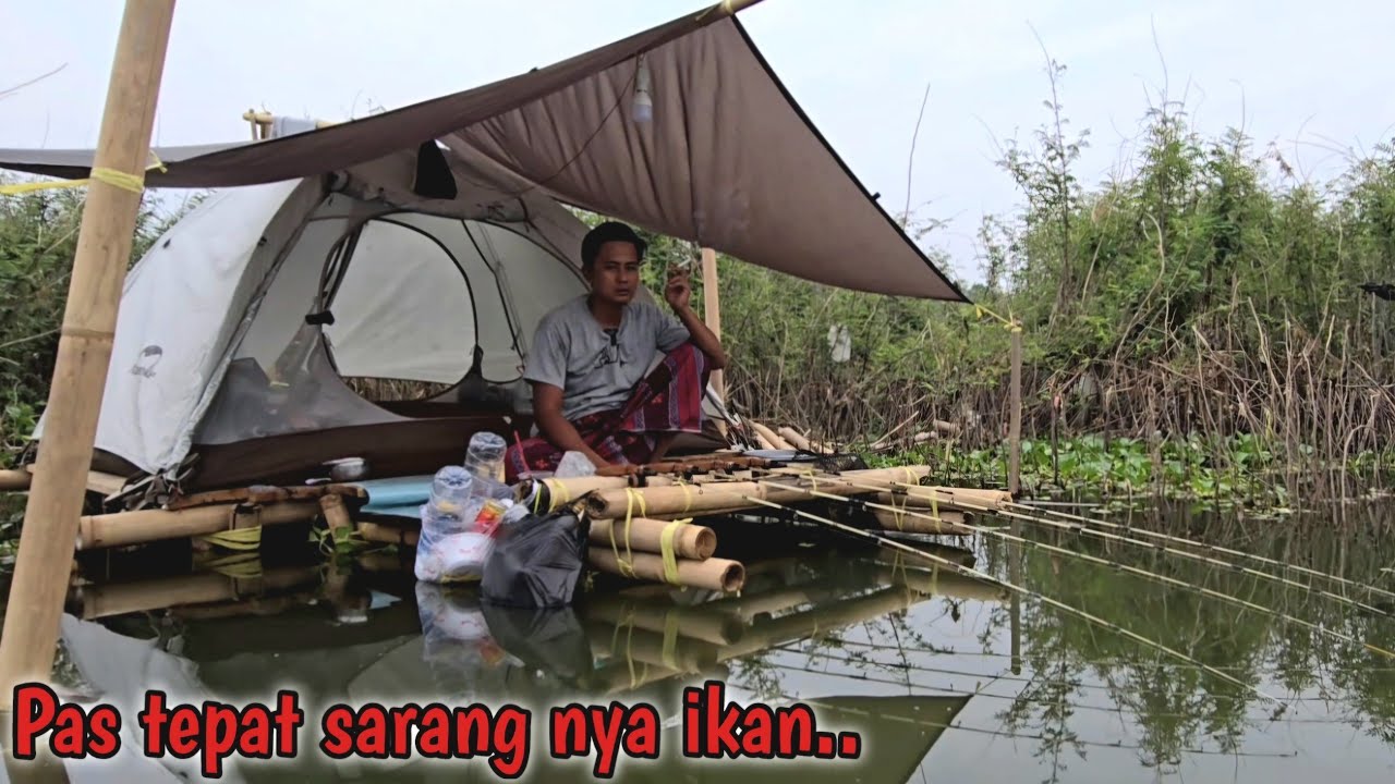 CAMP FISHING Ep.296 Istri pulang Rezeki datang  sangat terlalu banyak ikan hari ini