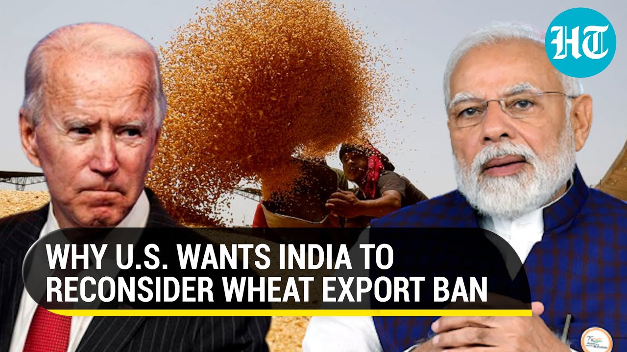 India&rsquo;s wheat export ban adding to global food crisis? U.S. wants Modi govt to reconsider move