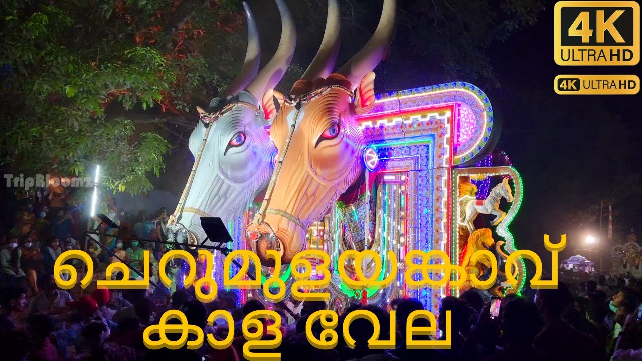 ചെറുമുളയങ്കാവ് കാള വേല 2022  | Kayiliad Kaala Vela |  Cherumulayankavu Kaala vela 2022 | Kerala