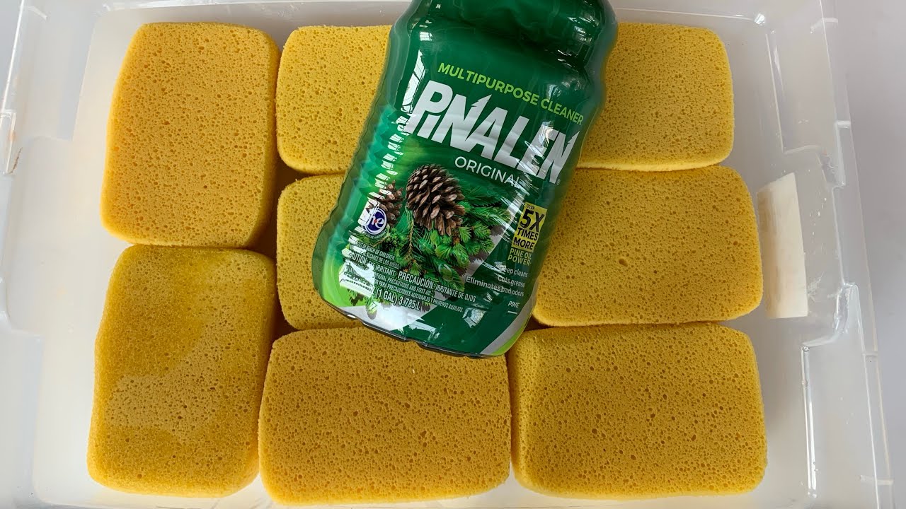🌲 ASMR GALLON OF PINE PINALEN + SPONGES 🌲