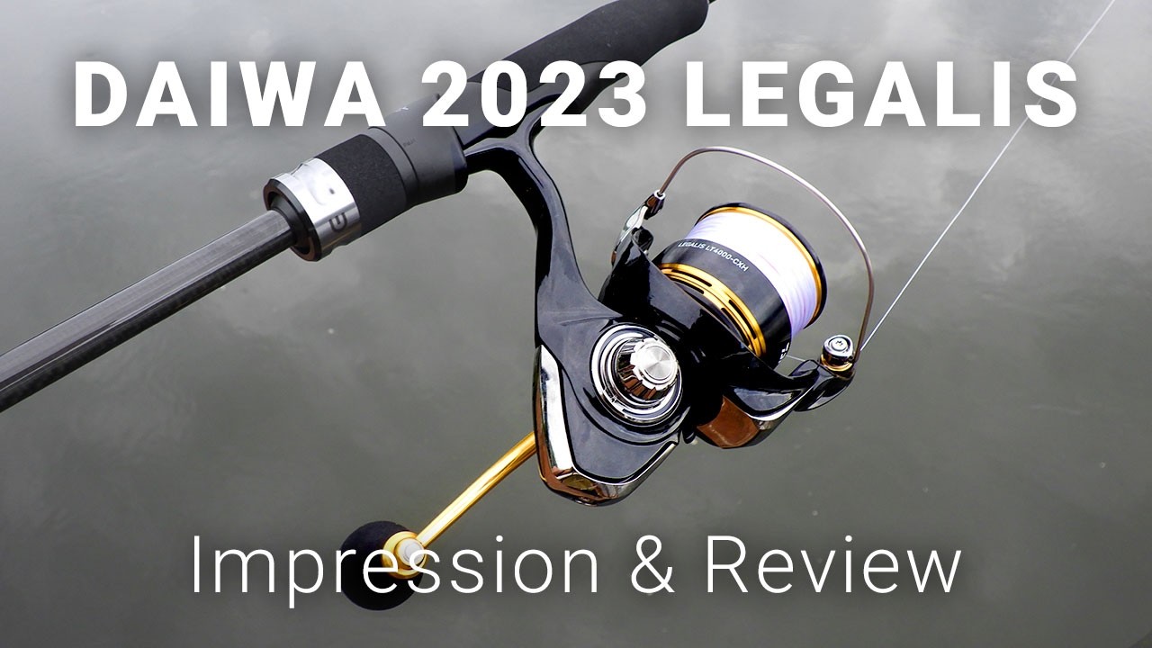Впечатления и обзор DAIWA Legalis 2023 — экономичная и мощная спиннинговая катушка