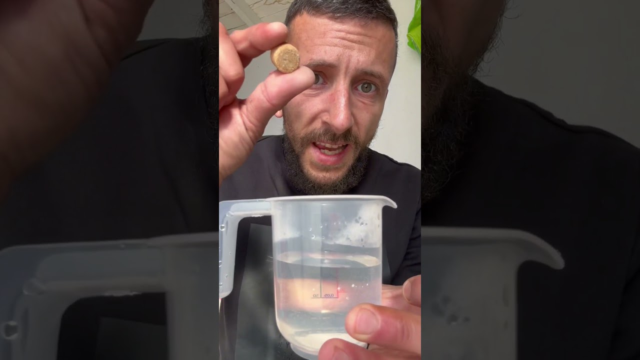Fabrique un pi&egrave;ge &agrave; moustiques redoutable #Moustiques #astuce #piege