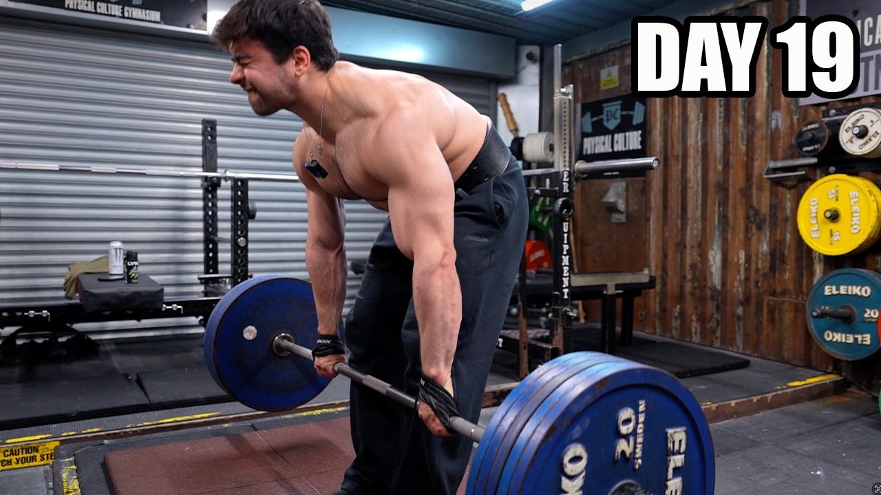 Natty Comeback Season 19 - Back