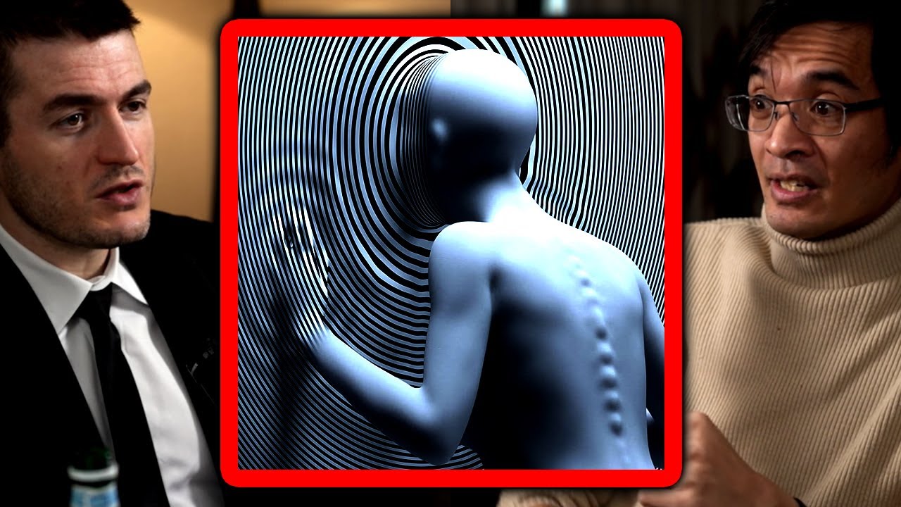 Is reality an illusion? | Terence Tao and Lex Fridman