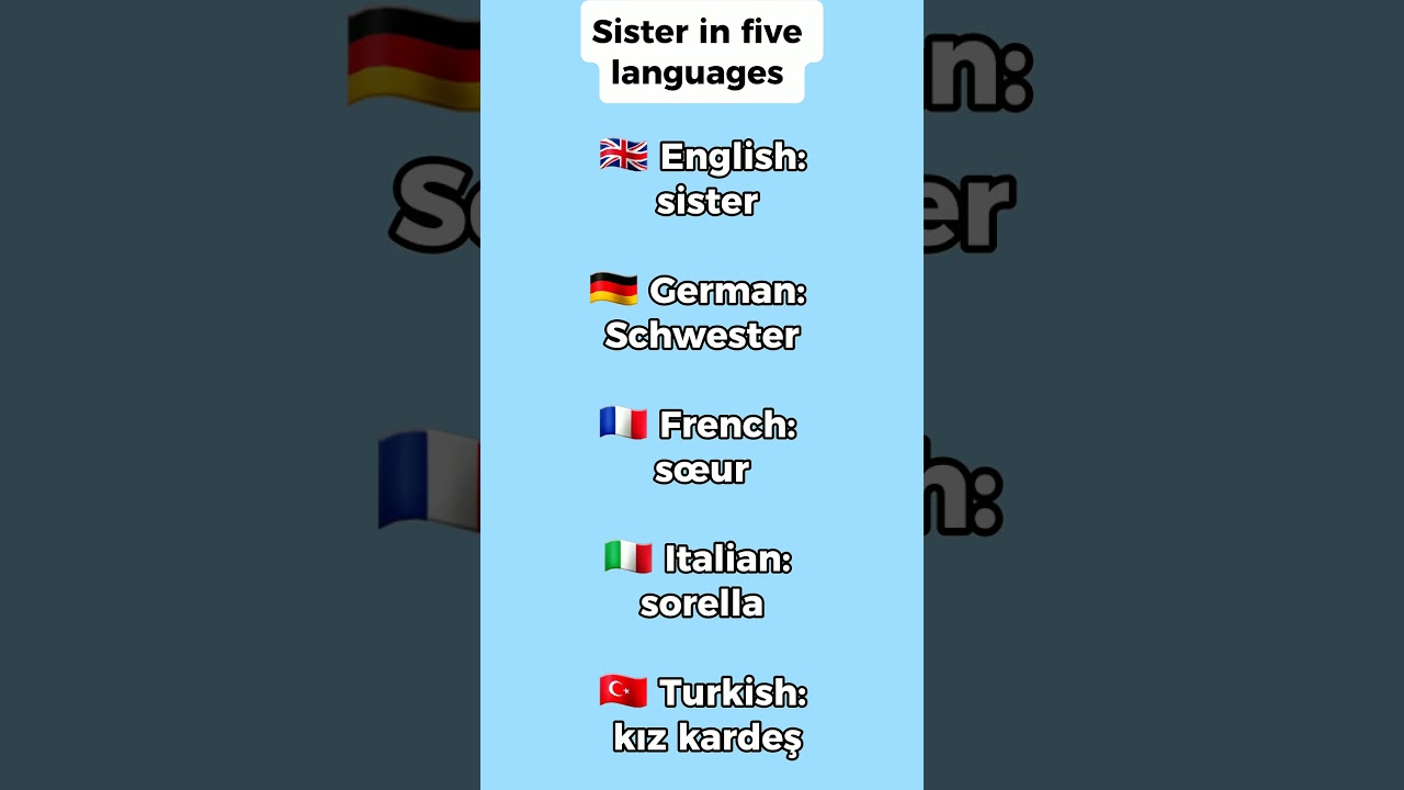 #FiveLanguagesDaily