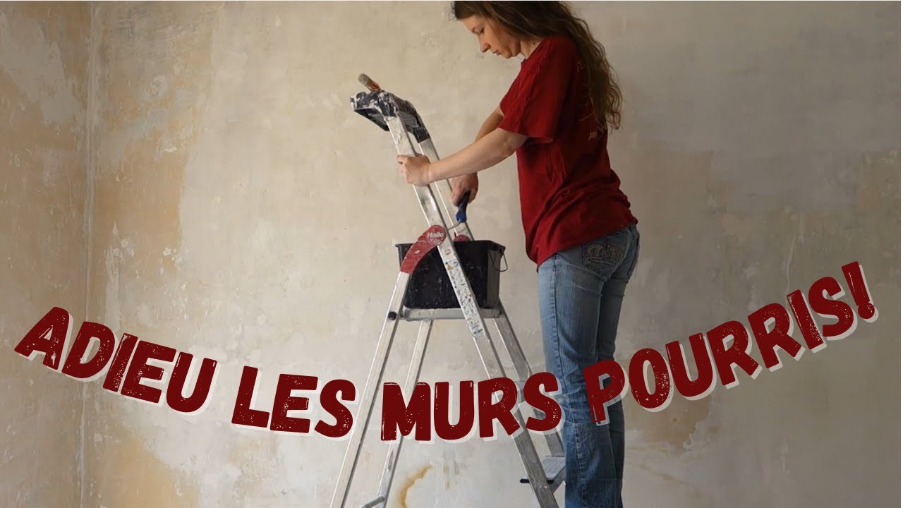 RÉNOVATION DES MURS INTÉRIEURS : sous-couche avant enduit au rouleau - Chevauchée fantastique 1/2