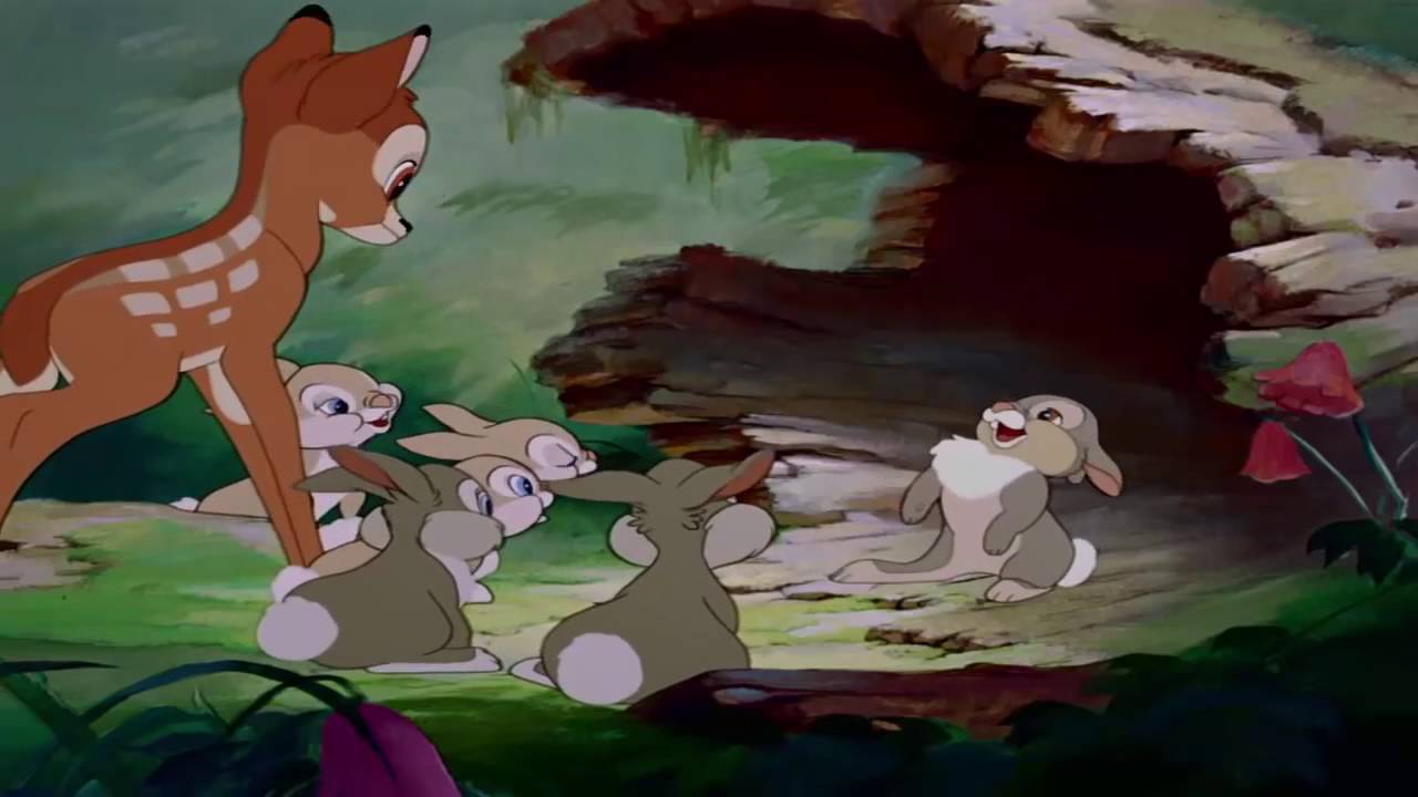 M&oacute;w mi Thumper