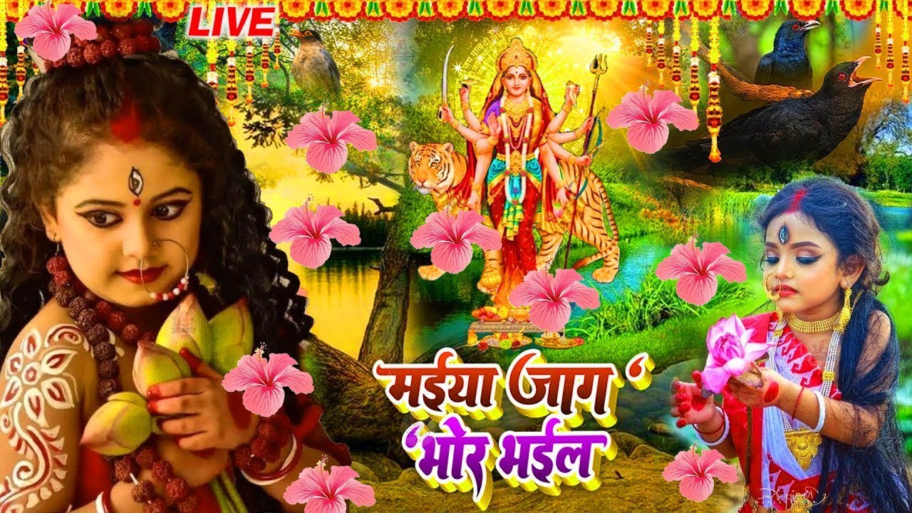 #न्यू