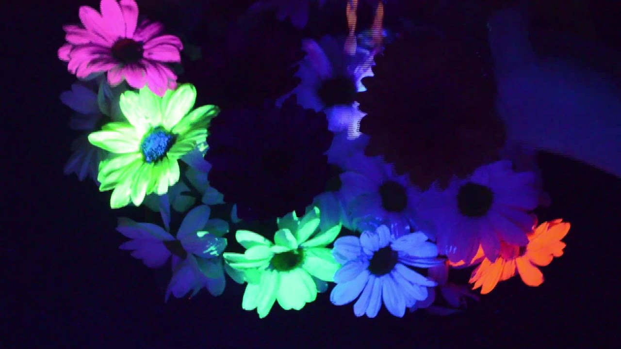 UV paint on flowers