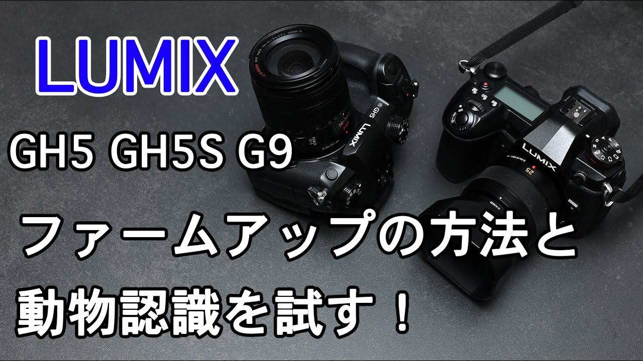 大幅性能アップしたLUMIX GH5 GH5S G9 Proのファームアップの仕方と動物認識AFを試す！