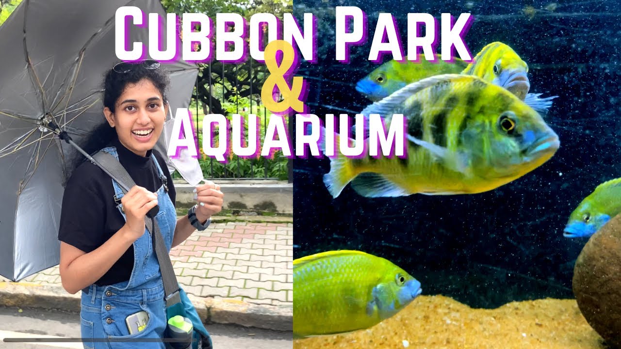 Evening walk at Cubbon Park | Bangalore Aquarium | Cubbon Park Bangalore | Curly Bhavya