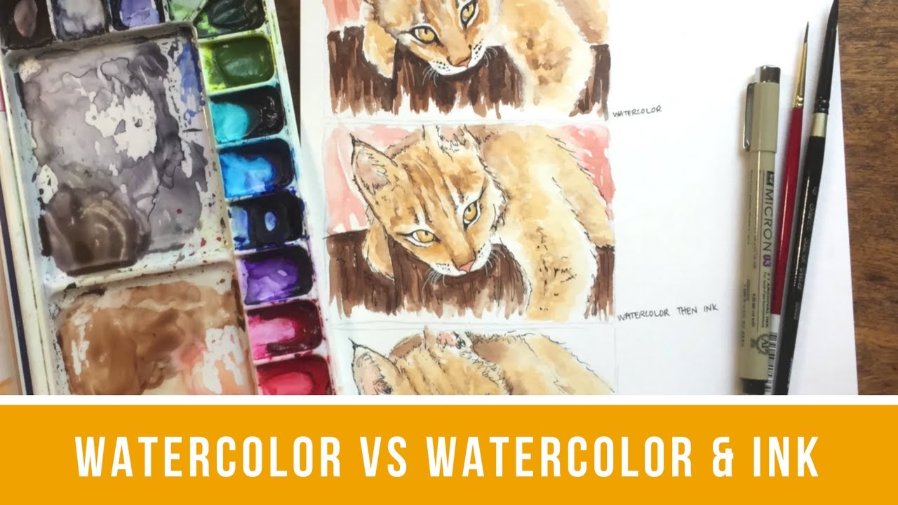 Watercolor vs Watercolor & Ink