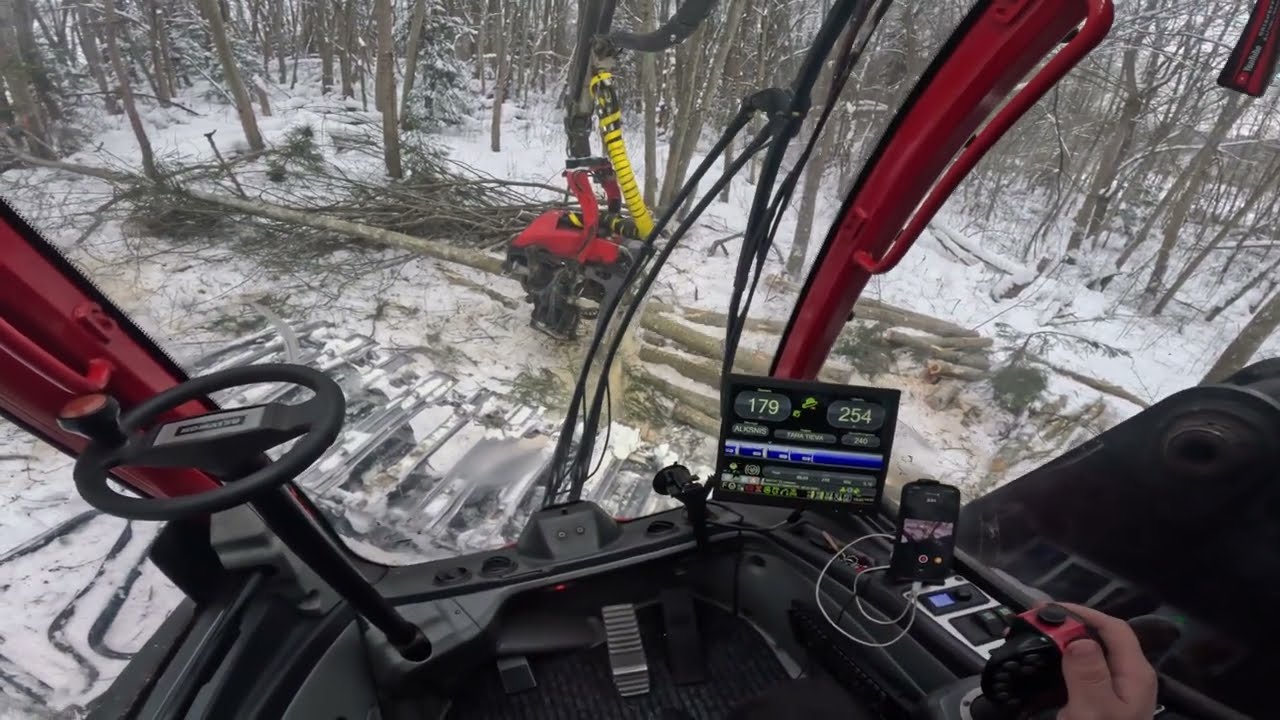 🌲🤯Новичок за рулём харвестера — выживу или нет?