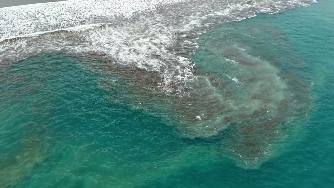 Playa linda , video sin audio para ambiente de restaurantes 