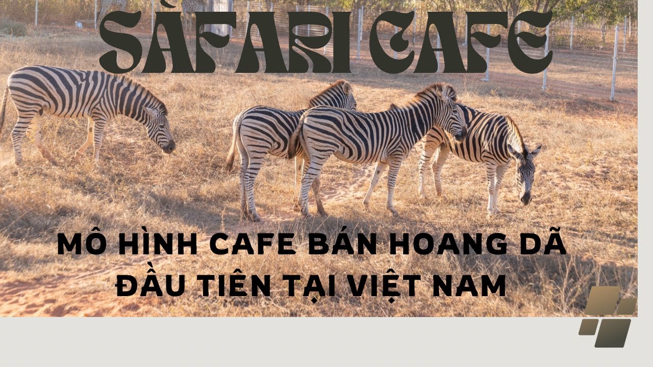 Safari Cafe Phan Thiet — первая модель полудикого кафе во Вьетнаме