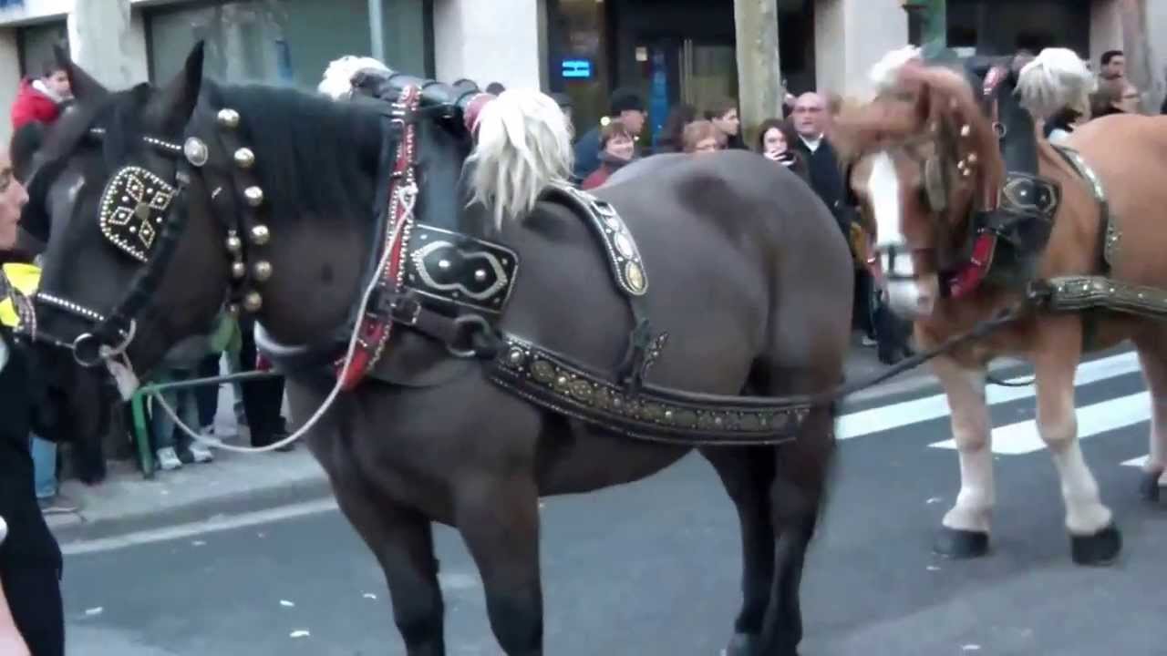 La Passada de Sant Antoni Abat i els tres tombs de Sabadell 2014