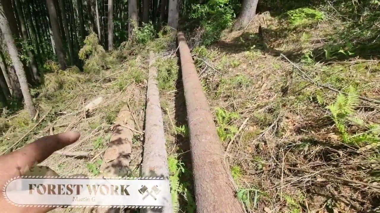 TST lanovečka 🚠🤣 ideme bomby do spevu mi bolo 🤣🤣🤣🤣