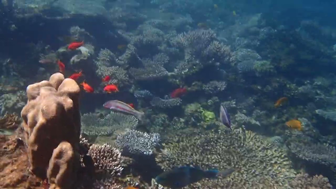 Hurghada Arabia Azur Resort März 2022