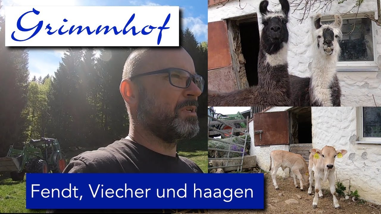 FarmVLOG#9 - Fendt, Viecher und haagen und nochmal haagen