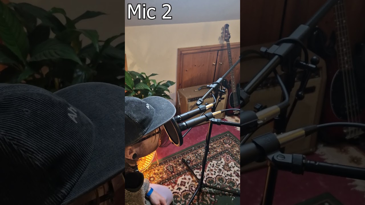 Temu SM57 vs. Shure SM57