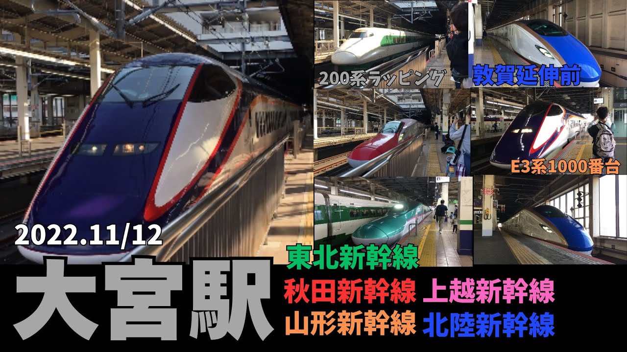 【大宮駅】E3系現存時撮影！！列車発車シーン集