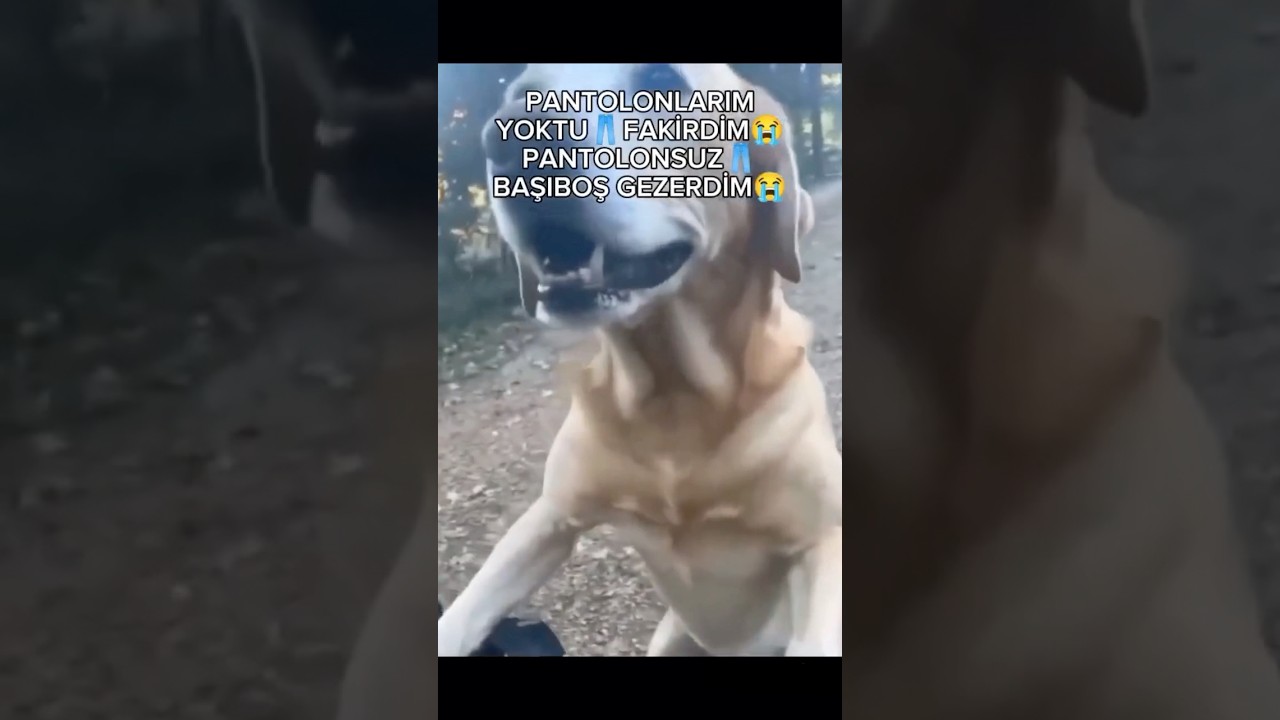 Pantolonlarım yoktu fakirdim😭👖