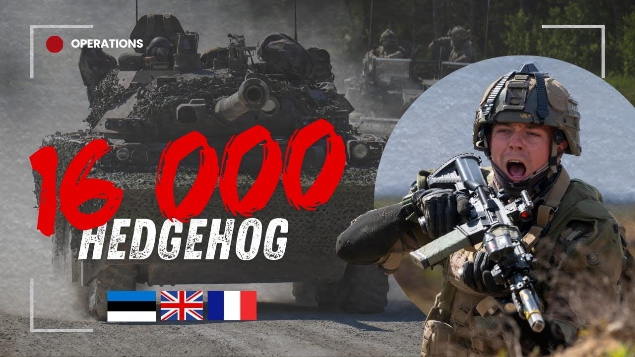 HEDGEHOG 🇪🇪🇬🇧🇫🇷 💥 L’OTAN S’ENTRAÎNE EN ESTONIE