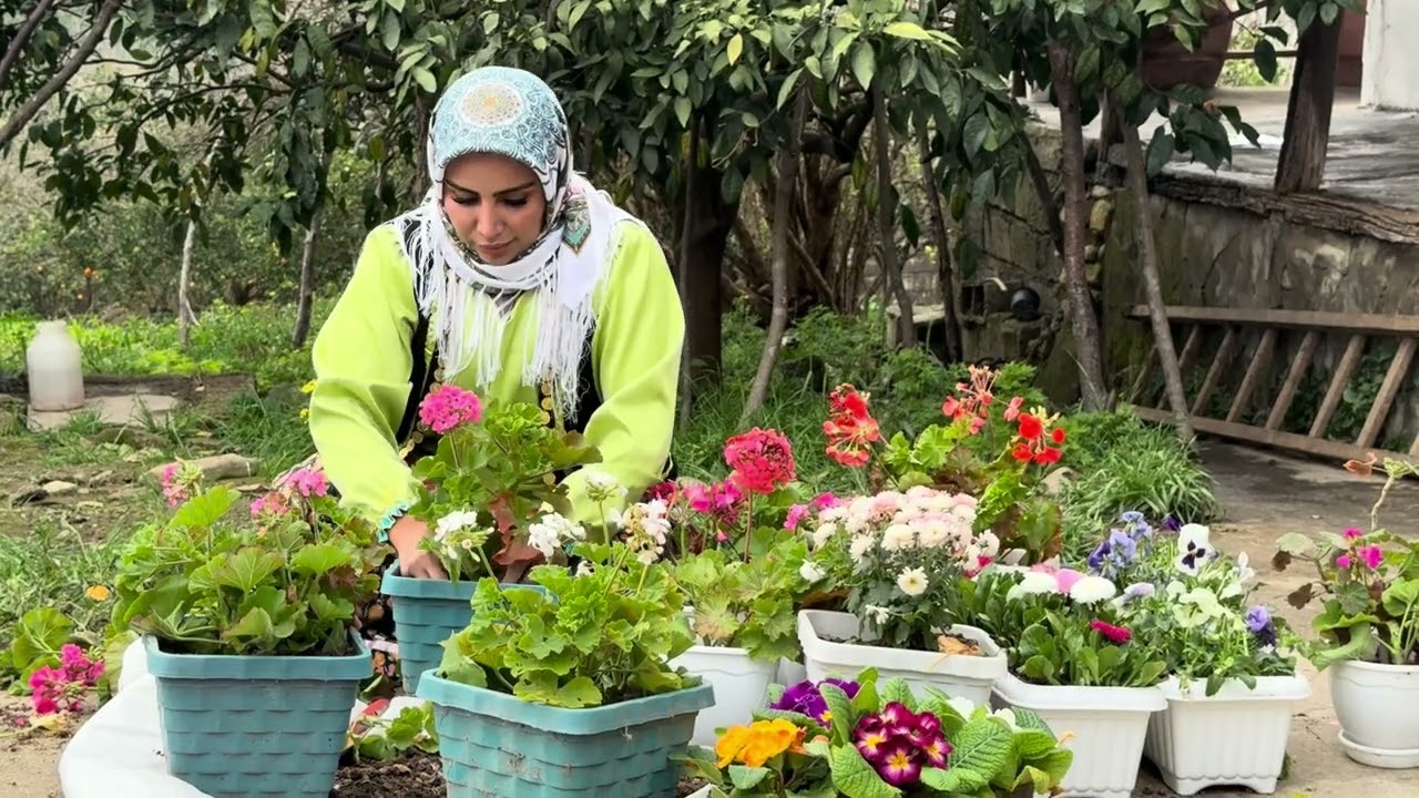 Nowruz Is Near&hellip; 🌸 Setting the Haft-Seen for Nowruz 1405 in Village Life | Spring Series EP.3