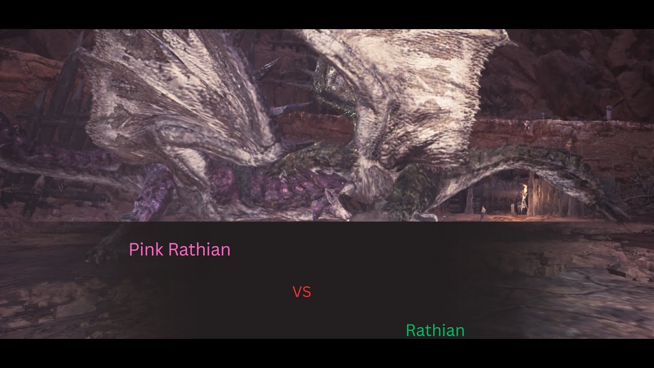 Pink Rathian vs Rathian(mhw Full fight) Turf war