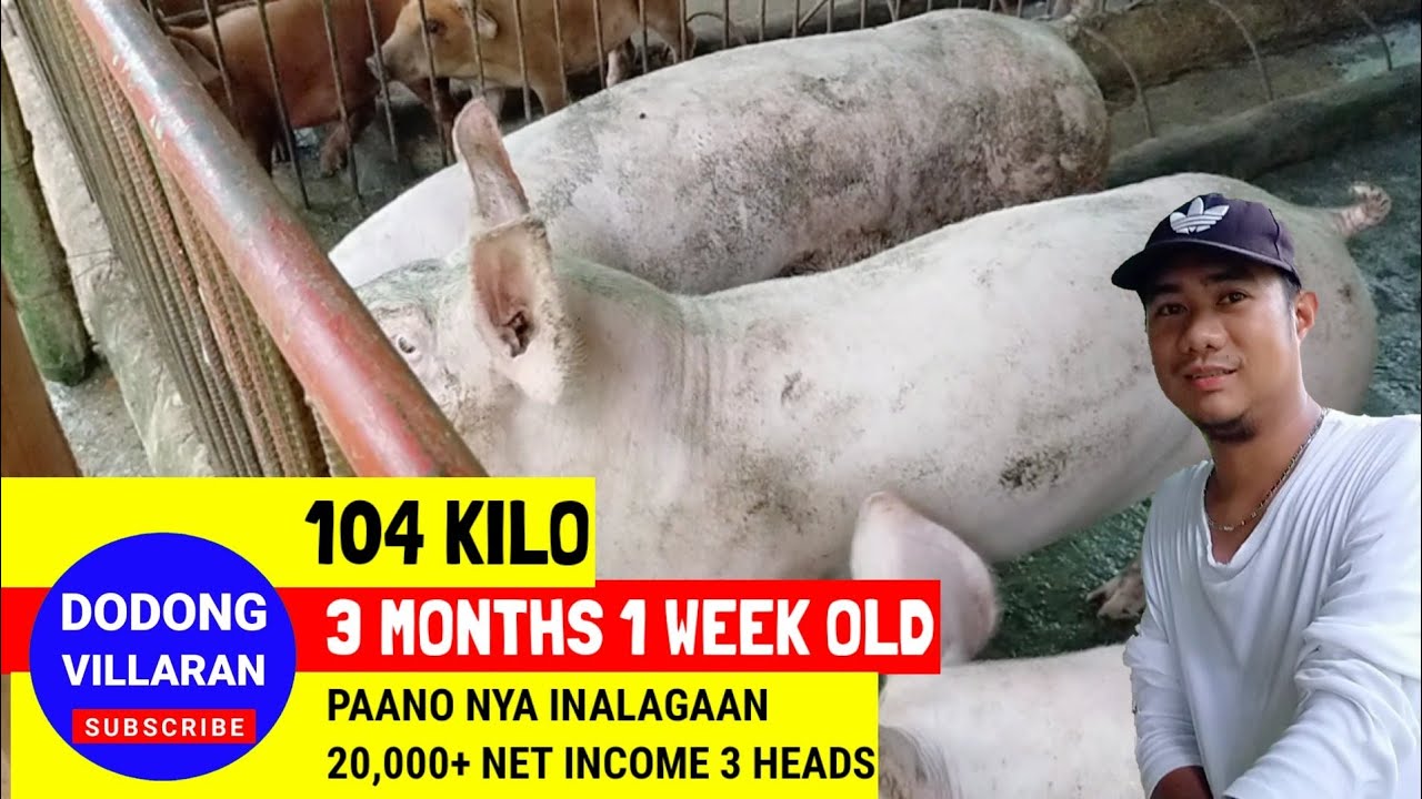 PAANO NYA NAKAMIT ANG 104 KILO SA 3 MONTHS & 1 WEEK OLD l Vlog 148