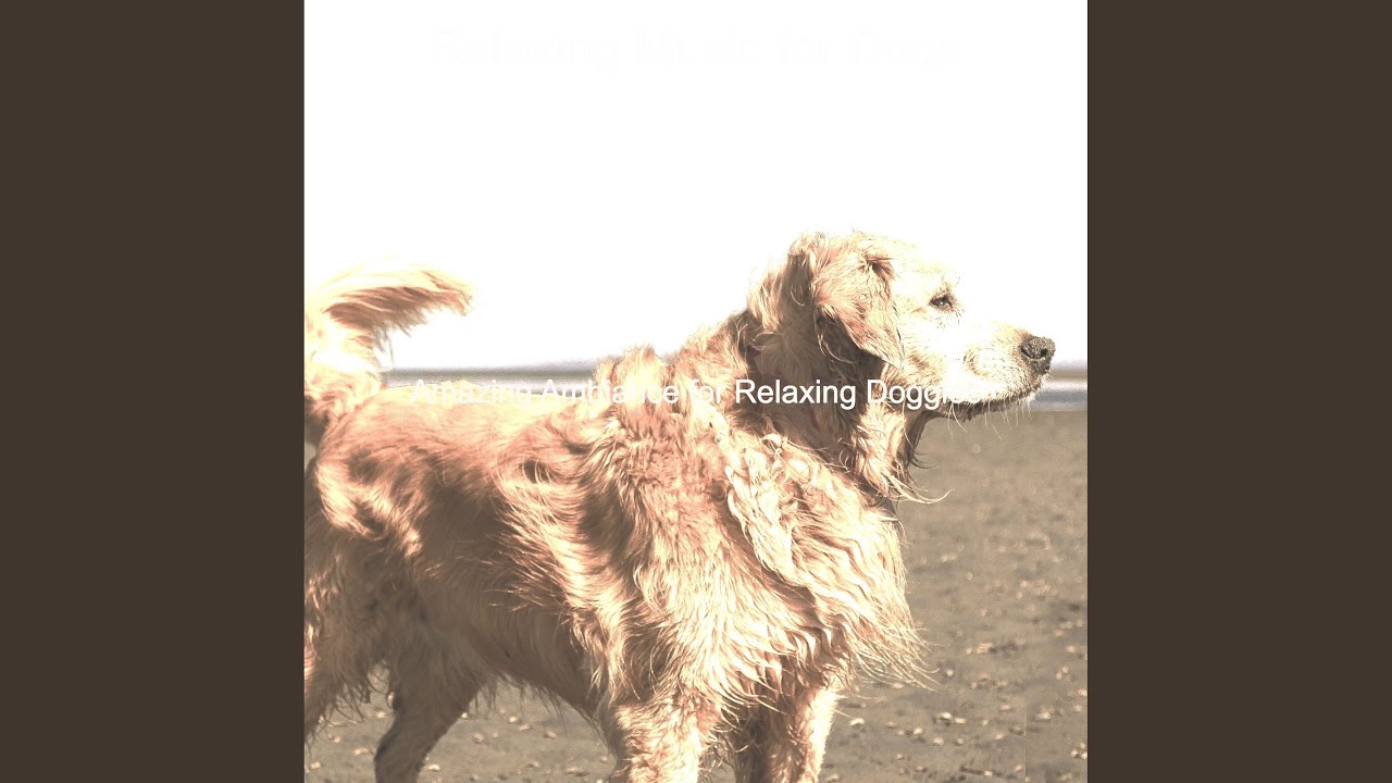 Atmospheric Ambience for Relaxing Dogs