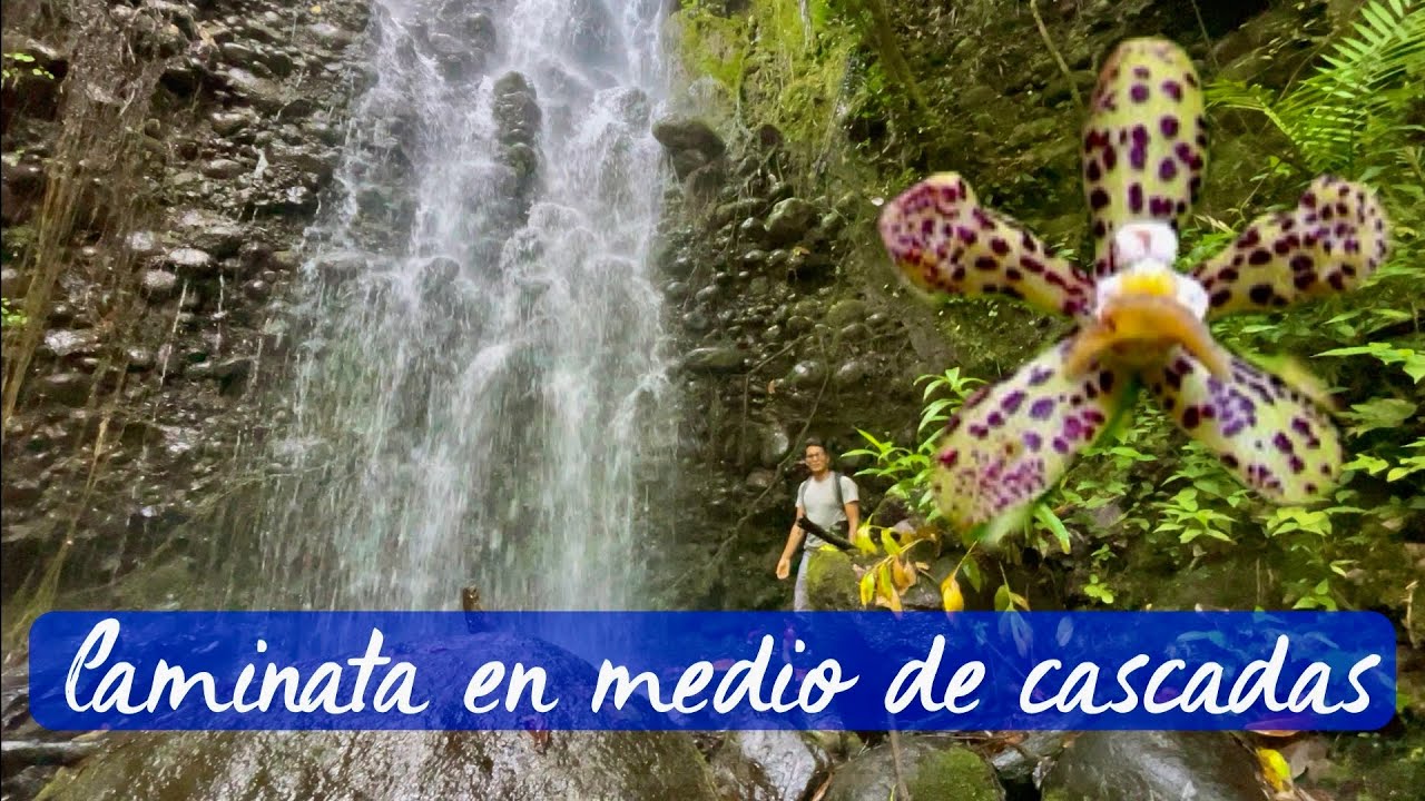 CAMINATA EN MEDIO DE CASCADAS HERMOSAS