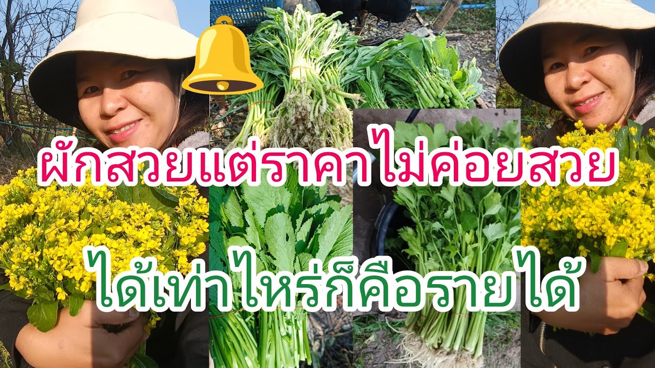 เข้าสวนหารายได้เหมือนเดิมจ้า