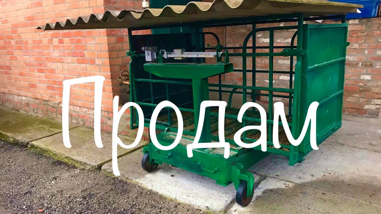 Продам веса для свиней, свиноводство