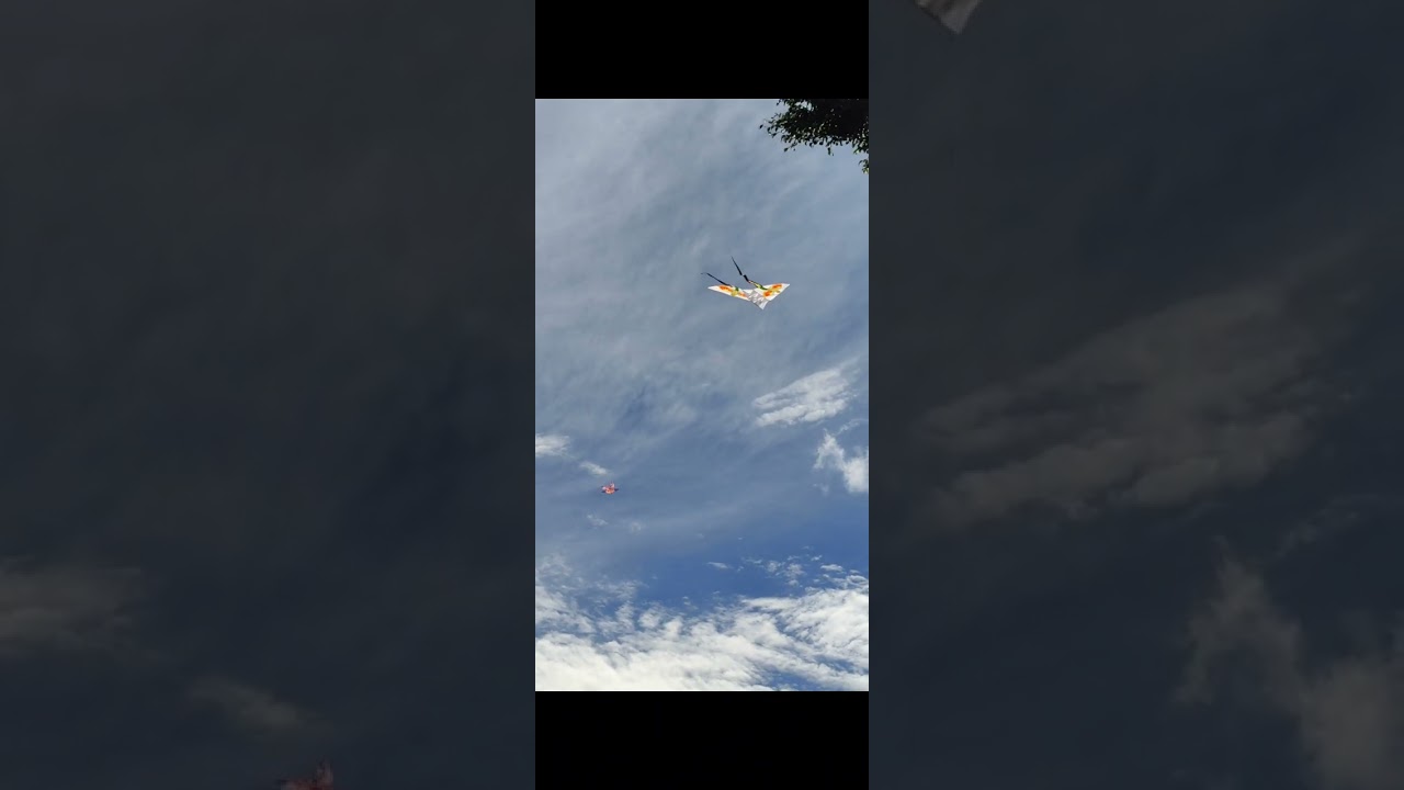 11th Panagbenga Kite Flying Challenge