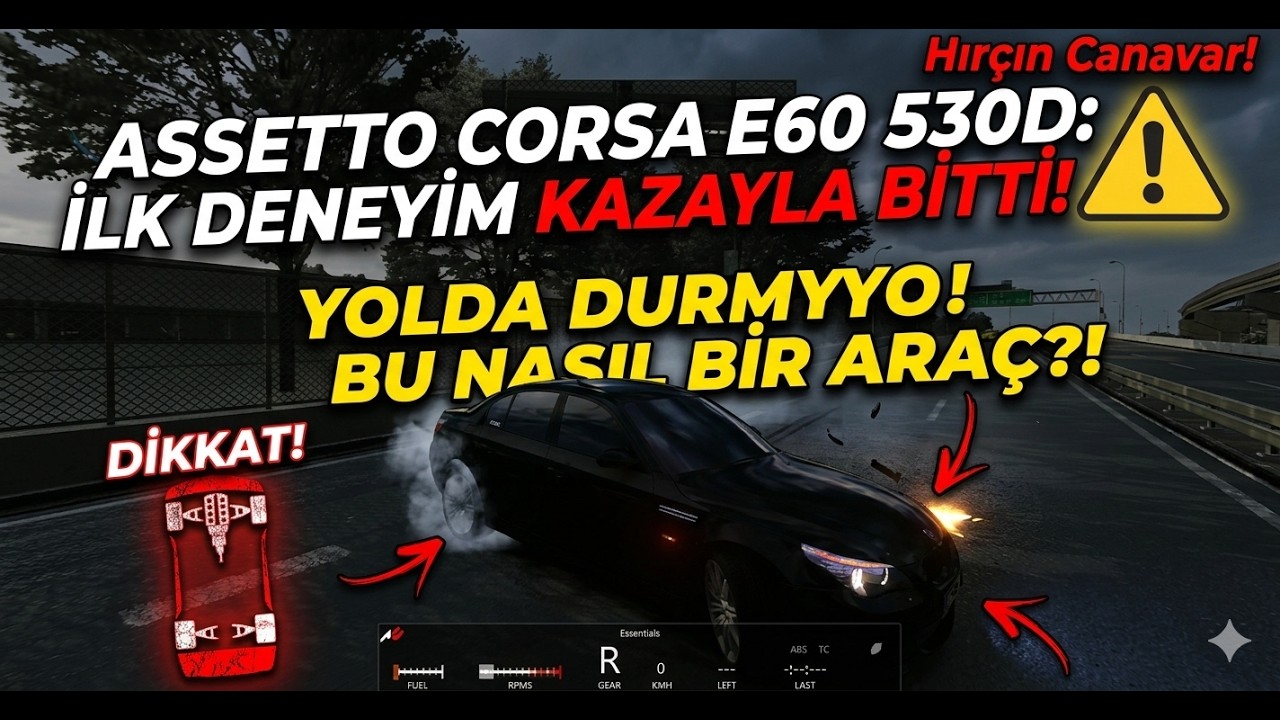 Dizginlenemeyen Tork! | Assetto Corsa BMW E60 530D