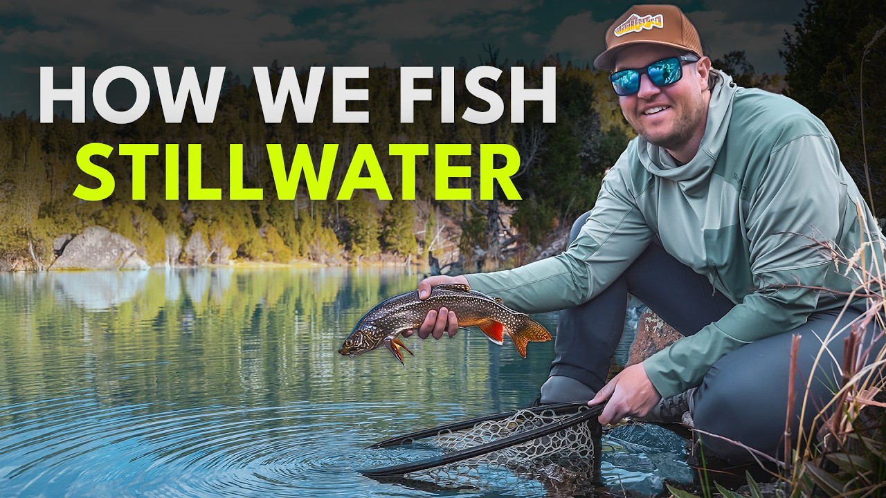 How to Fly Fish Lakes — Stillwater Tactics for Beginners