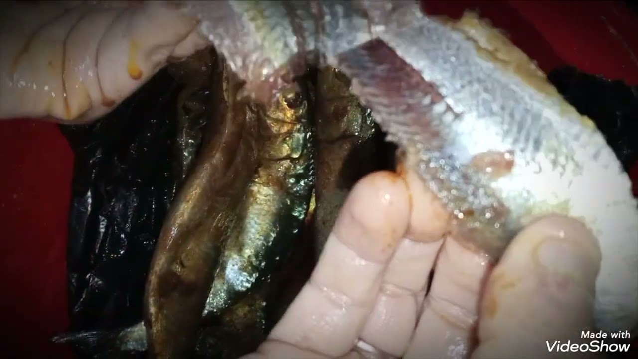 ١٧ يناير ٢٠٢٦