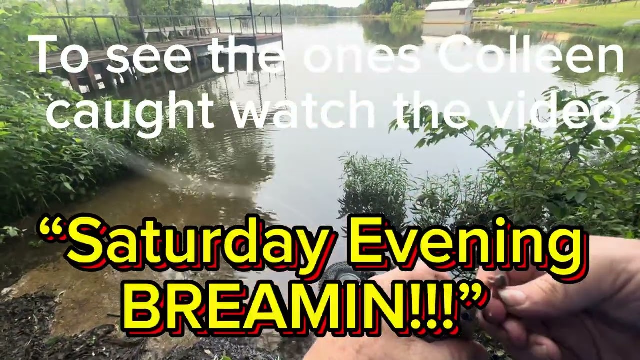 Breamin’ With HOMEGROWN WORMS and GULP MINNOWS!!!