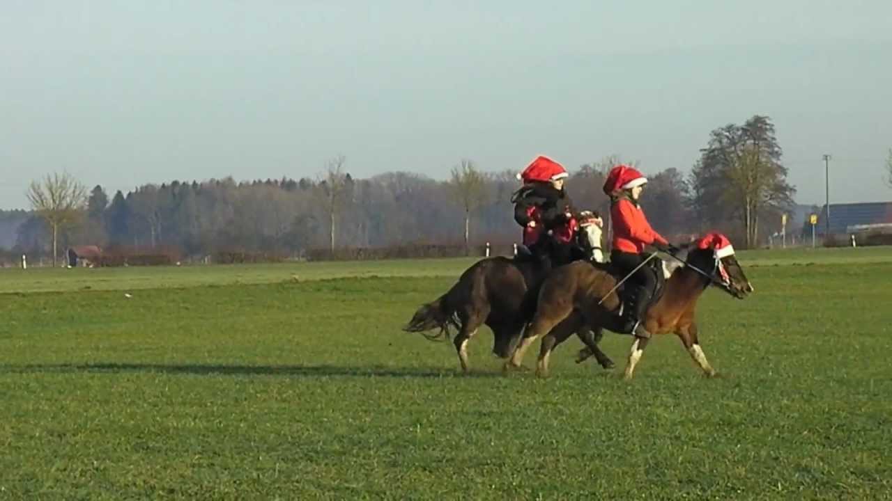 Nearly horsecrash on christmas!